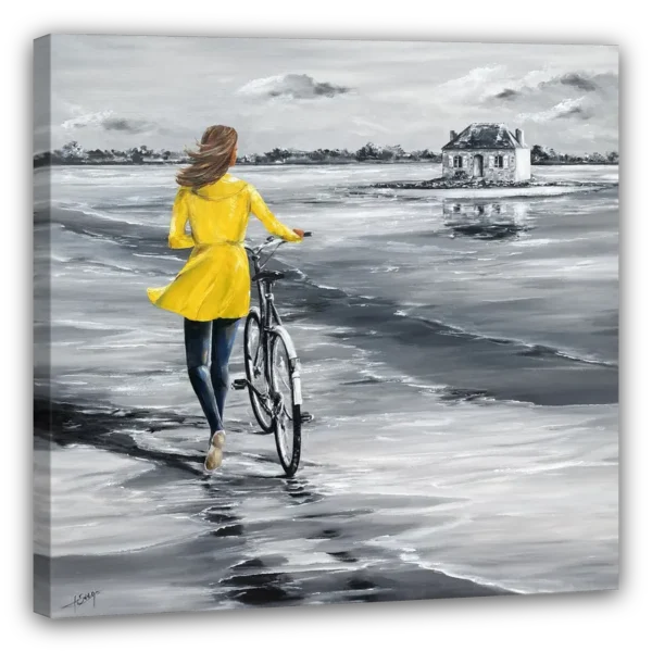 Une promenade à st cado 3d